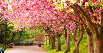 陽春三月不虛度，裝(zhuāng)修特惠正當時